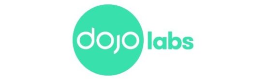dojolabs-logo-design